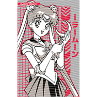 Japanese anime-JP 2355